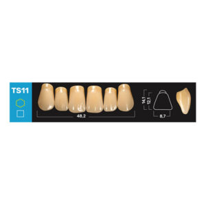 Ruthinium Acry Smart Diş - TS11