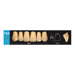 Ruthinium Acry Smart Diş - TS3