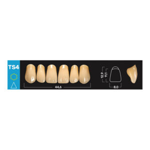 Ruthinium Acry Smart Diş - TS4