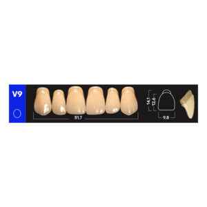 Ruthinium Acry Plus Diş - V9