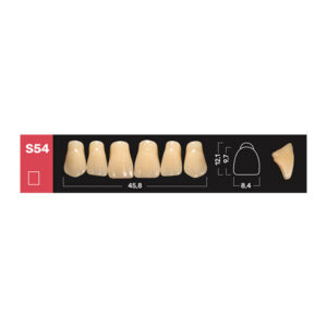Ruthinium Acry Rock Diş - S54