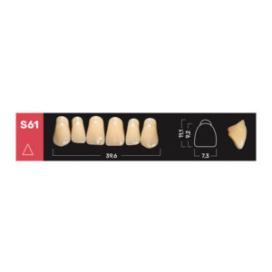 Ruthinium Acry Rock Diş - S61